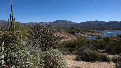 Beautiful Sonora desert around Bartlett reservoir in Arizona