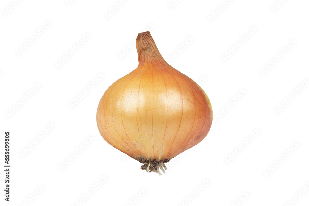 onion, onion isolated from background