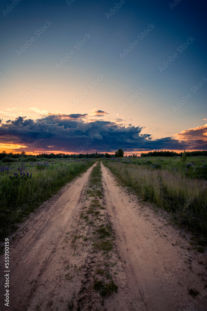 Summer rural landscape with road at evening time. Green field against blue sky with clouds. Vertical view.