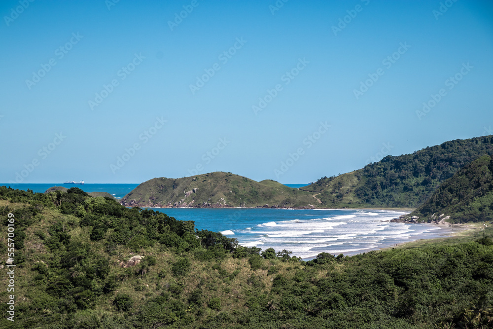 Famous Ilha do Mel in Brazil: View of the Sunny Beach with Palm Trees, Surfer, and Blue Sky and Water