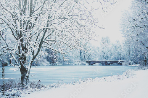 winter frozen lake landscape with trees and snow