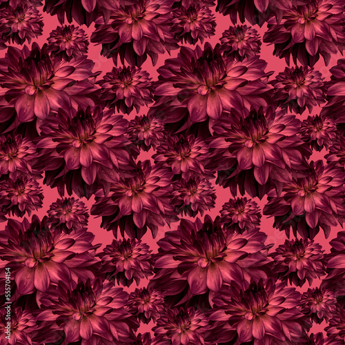 Patern dahlia Magenta flowers of different sizes on a pink background.