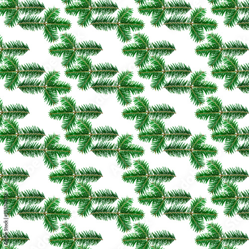 Patern green fir branches on a white background.