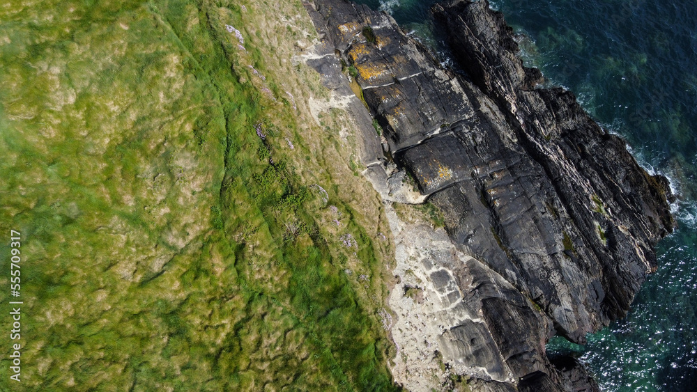 Dense thickets of grass on the shore. Grass-covered rocks on the Atlantic Ocean coast. Nature of Ireland, top view. Drone point of view. View from above.