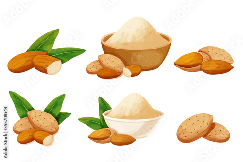 Set almond in nutshell with leaves detailed raw nut, almond powder in bowl organic product, ingredient in cartoon style isolated on white background. Ripe plant, snack.