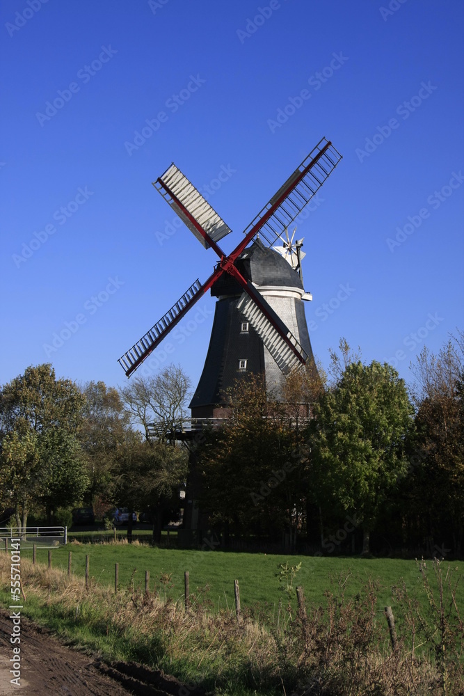 Obraz premium Am Deich, Aschwarden, Niedersachsen, Deutschland, Europa 