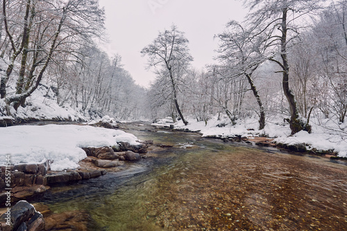 Winter landsdcape with river and snowy forest