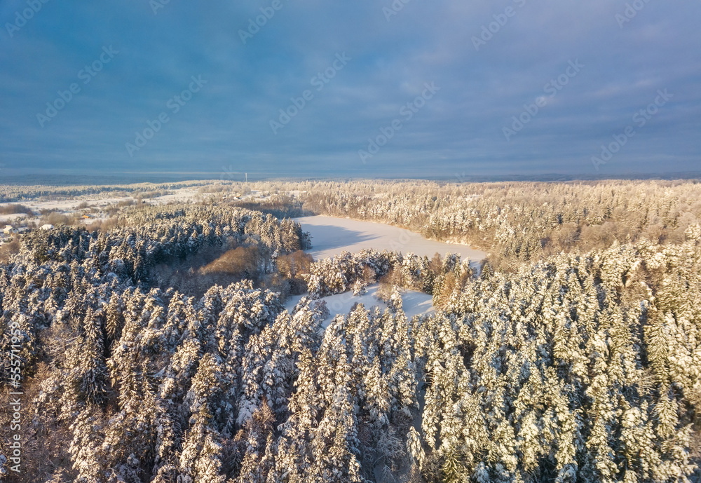 Aerial photo of winter forest surrounded by birch forest. Drone shot of trees covered with hoarfrost and snow. Natural winter background