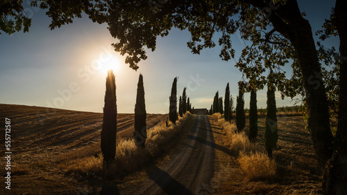 Toscan driveway with cypresses
