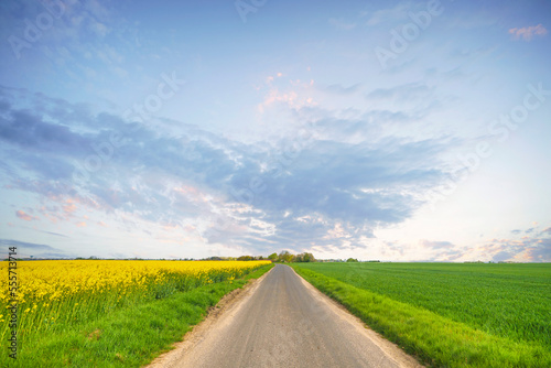 Summer landscape with a road