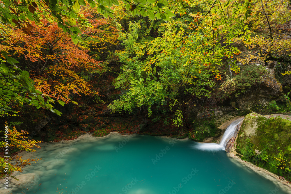 Majestic lagoon hidden in gorgeous forest Majestic lagoon hidden in gorgeous forest