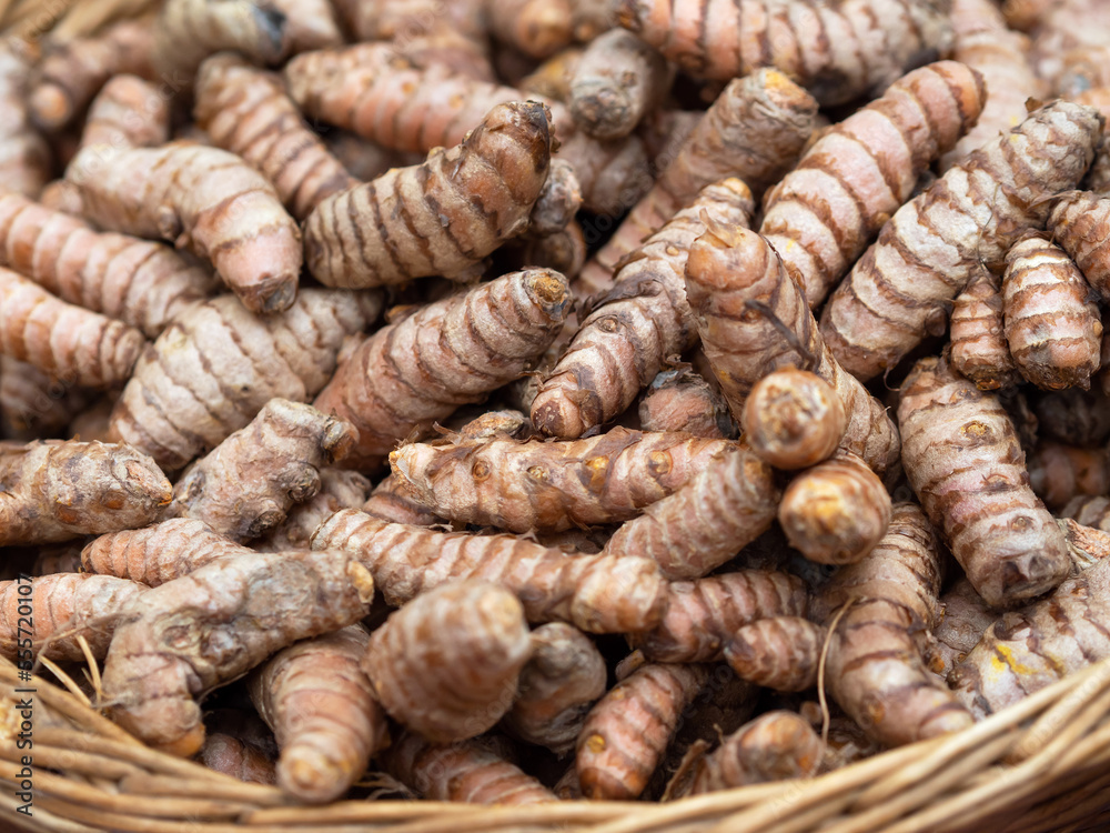 Frische Kurkuma Wurzeln - Superfood und Heilmittel Frische Kurkuma Wurzeln - Superfood und Heilmittel
