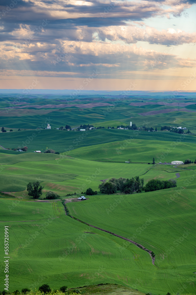 Rolling hills of the Palouse morning with sunrays through the clouds Rolling hills of the Palouse morning with sunrays through the clouds