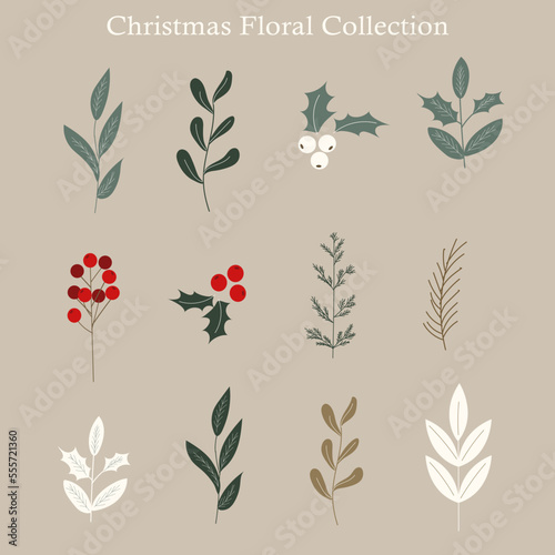 Christmas Flowers hand drawn vector art collection for decoration. Flower element. Flowers collection. Isolated.