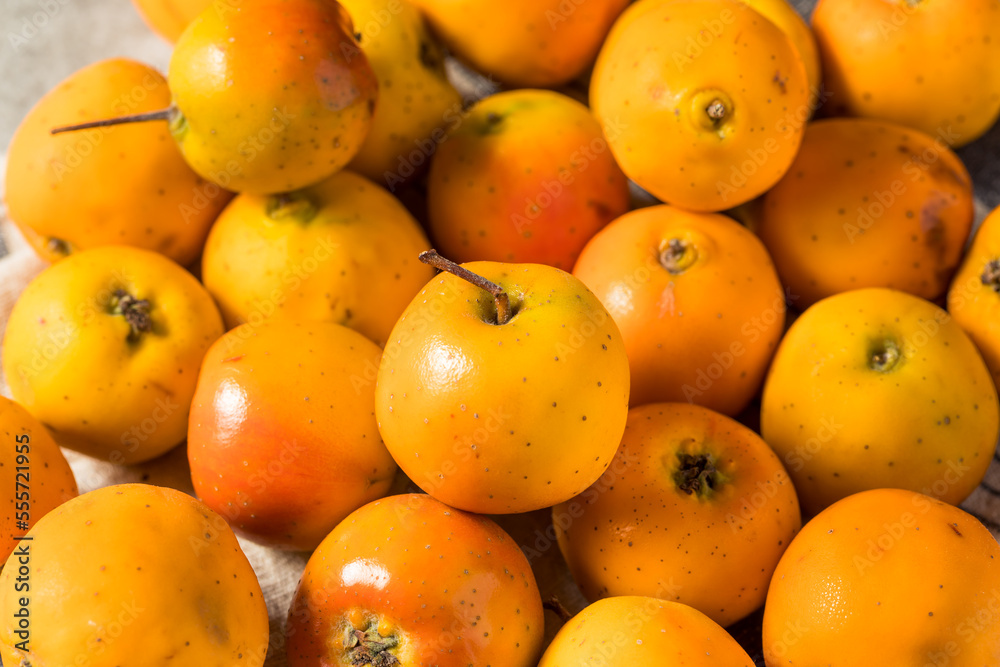 Raw Orange Organic Tejocote Apples Raw Orange Organic Tejocote Apples