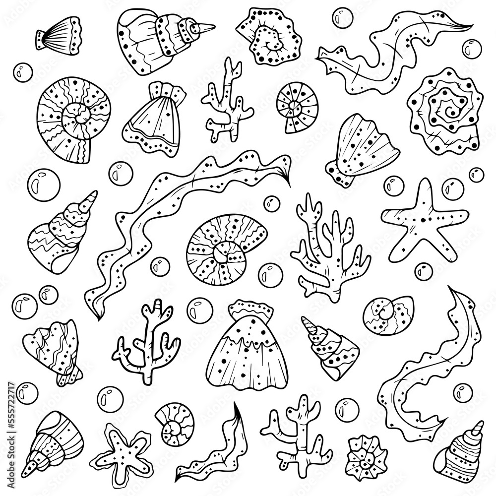 Set of seashells scallops algae and coral. Vector illustration. Pattern. Bubbles.