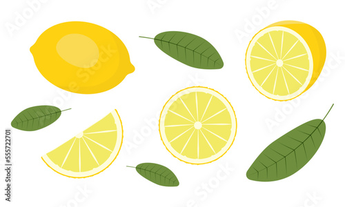 Fresh lemon fruits, collection of vector illustrations
