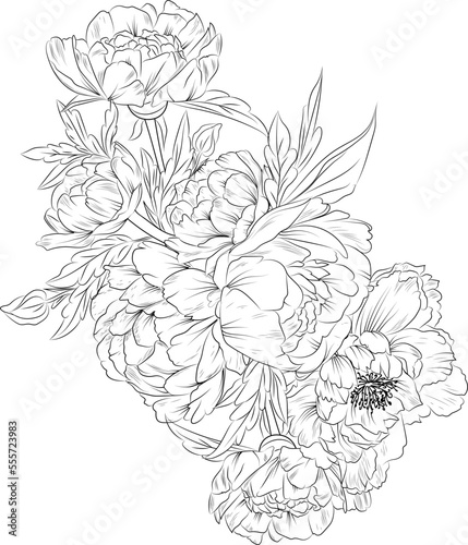 Fototapeta Naklejka Na Ścianę i Meble -  Bouquet of frangipani flower hand drawn pencil sketch coloring page and book for adults isolated on white background floral element tattooing, illustration ink art.