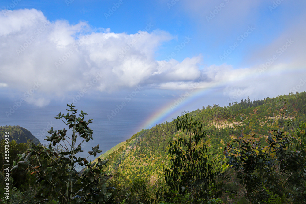 Fototapeta premium Madeira the island of flowers a part of Portugal