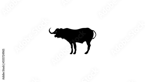buffalo, silhouette, vector