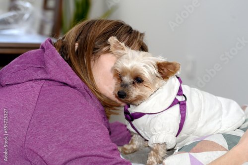 A young Hispanic woman kissing and giving affection and love to her pet yorkshire terrier dog, they are located in the living room of her house. Selective focus. Space for copy space