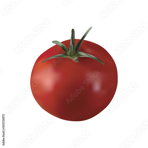 Realistic ripe tomato vector design