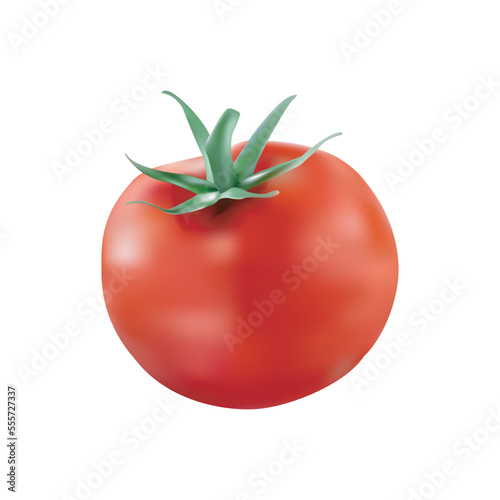 Realistic ripe tomato vector design