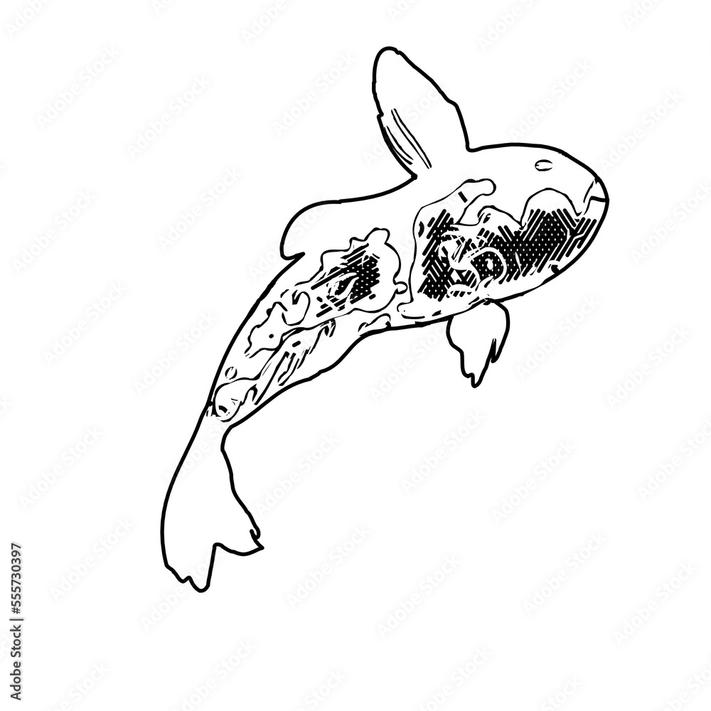 black-and-white-drawing-sketch-of-a-koi-fish-with-transparent