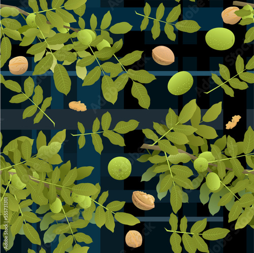 Branches Walnut tree with ripe fruits. Dark background picture. Garden plant with edible harvest. Seamless pattern composition. Branch with foliage and leaves. Vector