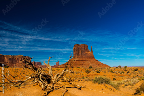 West Mitten with Tree - Monument Valley