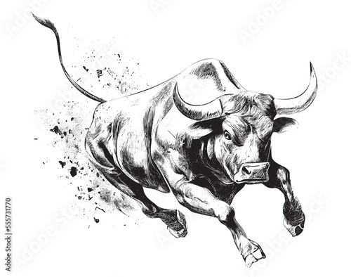 Angry bull running in fire hand drawn sketch Vector illustration.