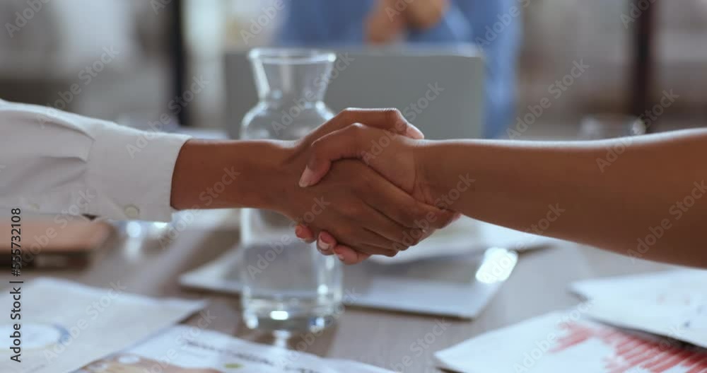 Handshake, meeting and business people with finance deal, b2b partnership and consultation trust. Thank you, agreement and accounting employees shaking hands for investment and financial contract