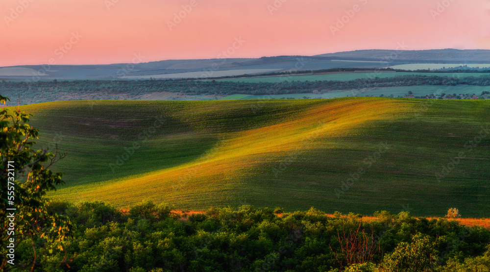 green Rolling Hills countryside rural scenery beautiful springtime landscape sunset Moldova Europe Amazing Agricultural wheat  fields, meadow and lonely tree farm forest summer Tuscany foothills
