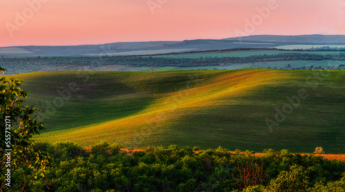 green Rolling Hills countryside rural scenery beautiful springtime landscape sunset Moldova Europe Amazing Agricultural wheat fields, meadow and lonely tree farm forest summer Tuscany foothills
