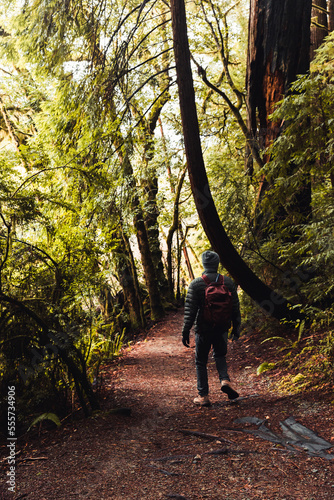 Hiking Through The Misty Forest 