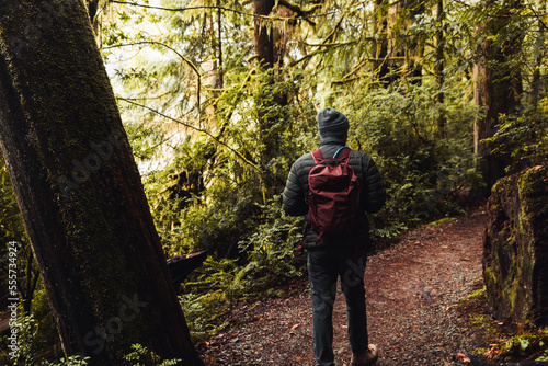 Hiking Through The Misty Forest 
