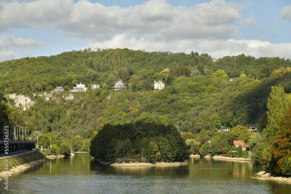 Fototapeta premium L'une des iles à la végétation sauvage au milieu de la Meuse dans un cadre de paysage bucolique à Lustin à 10 km au sud de Namur