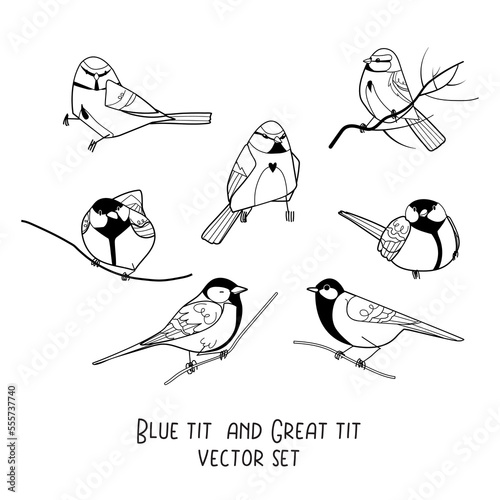 Blue tit and great tit black outline vector set isolated on white background. Winter forest bird animal character editable line illustration