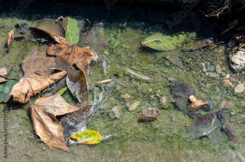 Charco de agua