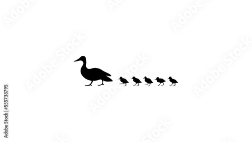 Duck and ducklings illustration, silhouette, vector, logo