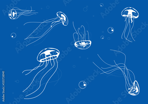 School of jellyfish diving in the sea. vector illustration
