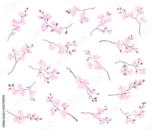 Blooming Cherry Blossom Branches with Tender Buds Big Vector Set