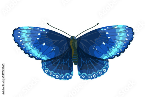 Colorful butterfly, winged insect.Vector graphics.