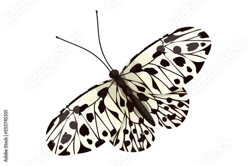 Colorful butterfly, winged insect.Vector graphics.