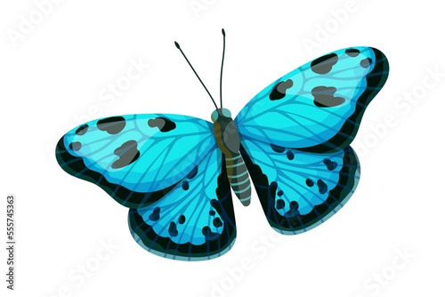 Colorful butterfly, winged insect.Vector graphics.