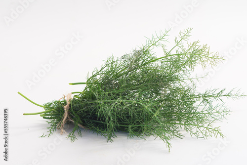 Fresh fennel in white background