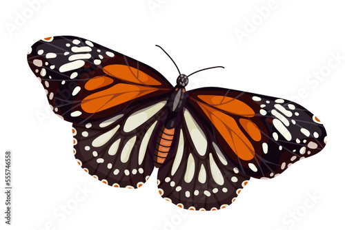 Colorful butterfly, winged insect.Vector graphics.