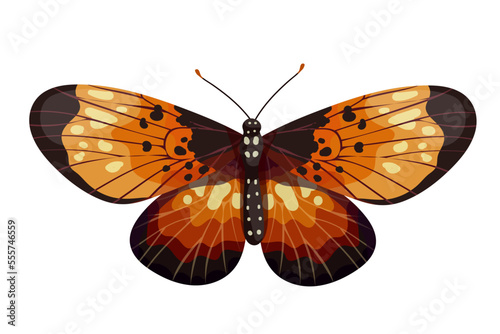 Colorful butterfly, winged insect.Vector graphics.