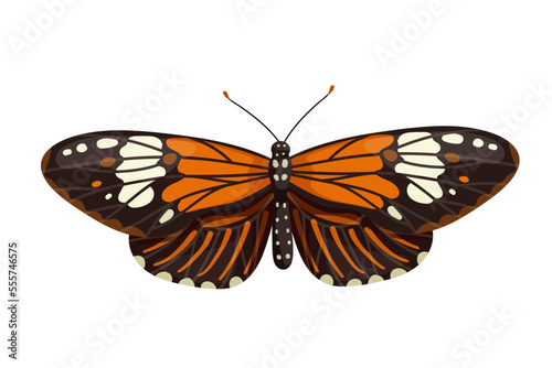 Colorful butterfly, winged insect.Vector graphics.