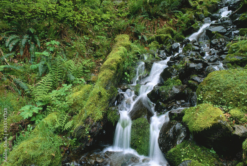 Falls near Multnomah Falls, Columbia River Gorge, Oregon, USA Falls near Multnomah Falls, Columbia River Gorge, Oregon, USA